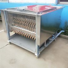 市場屠宰雞脫毛機 高效環保的屠宰設備解決方案